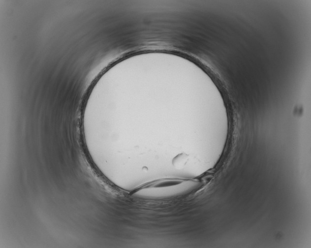 X0000112371325200909241140