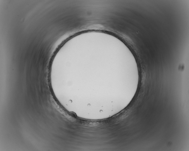 X0000112371326200909241140