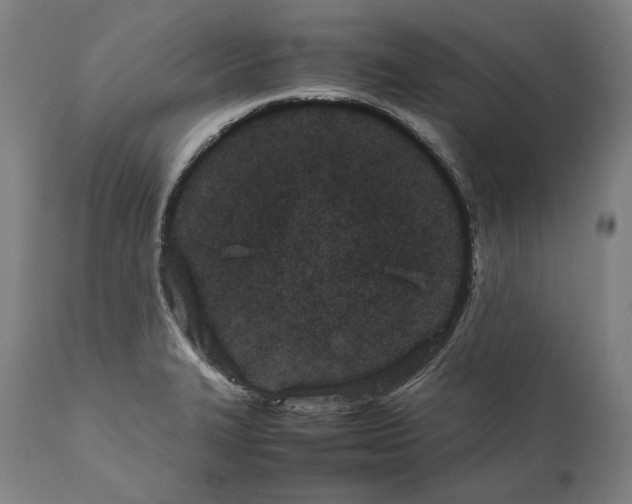 X0000112371327200909241140