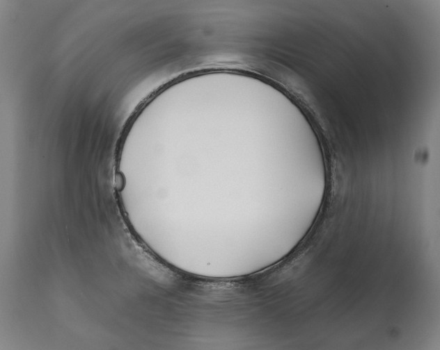 X0000112371328200909241140