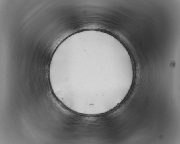 X0000112371329200909241140