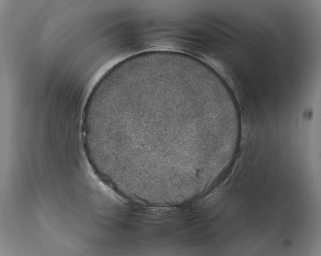 X0000112371331200909241140