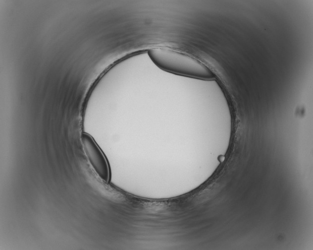 X0000112371332200909241140