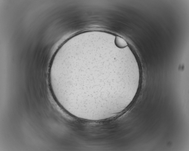 X0000112371333200909241140