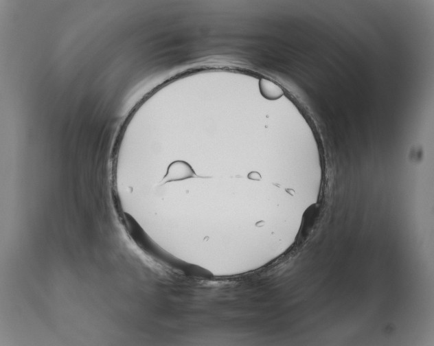 X0000112371335200909241140