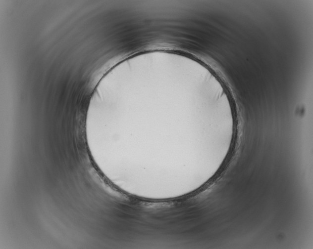 X0000112371337200909241141
