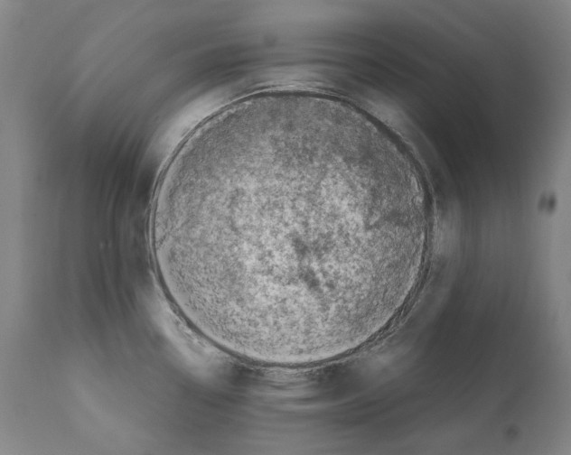 X0000112371338200909241141