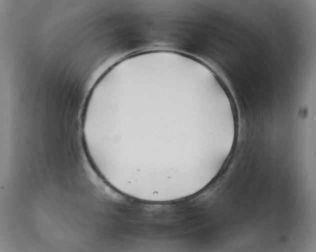 X0000112371341200909241141