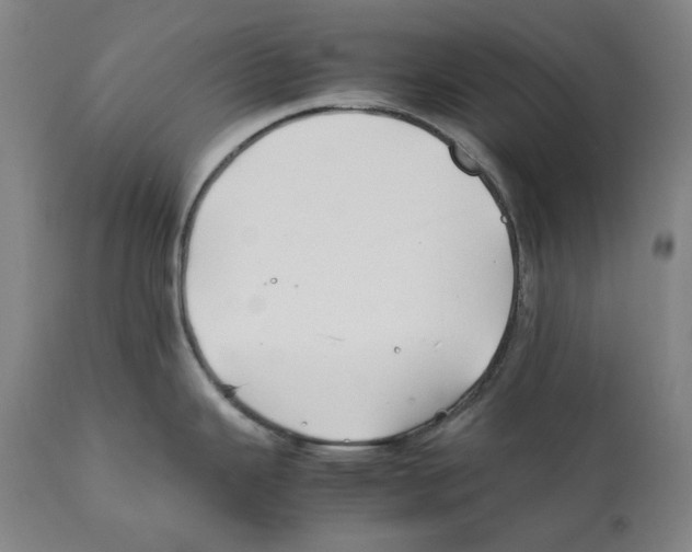 X0000112371343200909241141