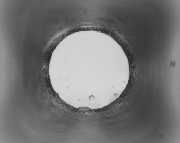 X0000112371351200909241140
