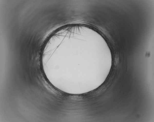 X0000112371356200909241140