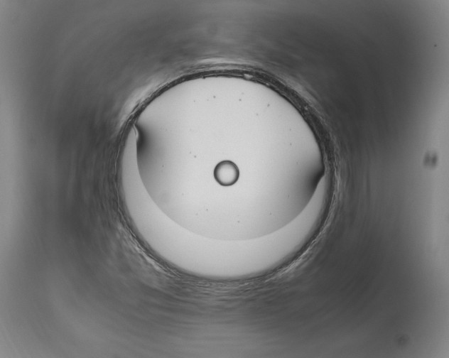 X0000112371357200909241140
