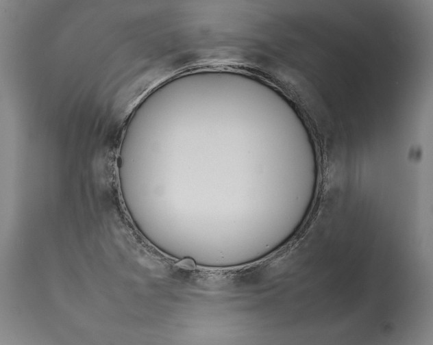 X0000112371361200909241140
