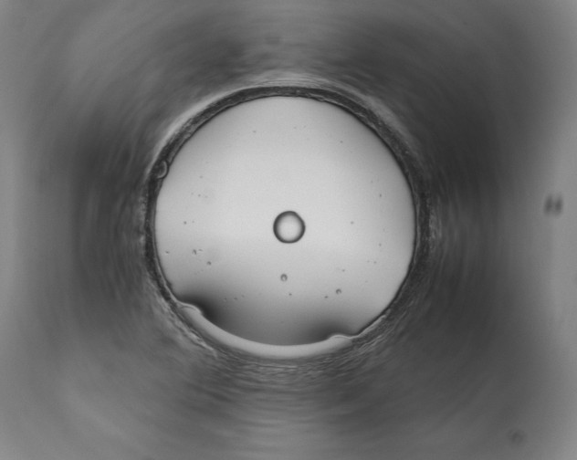 X0000112371364200909241140