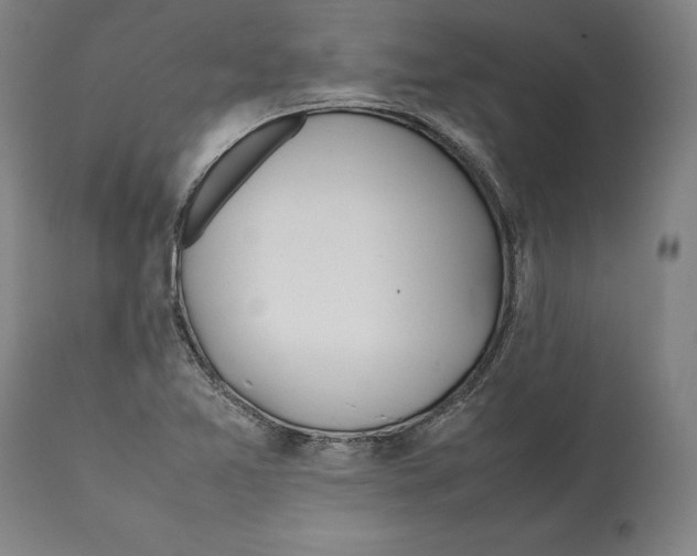 X0000112371365200909241140