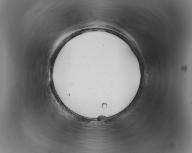 X0000112371368200909241139