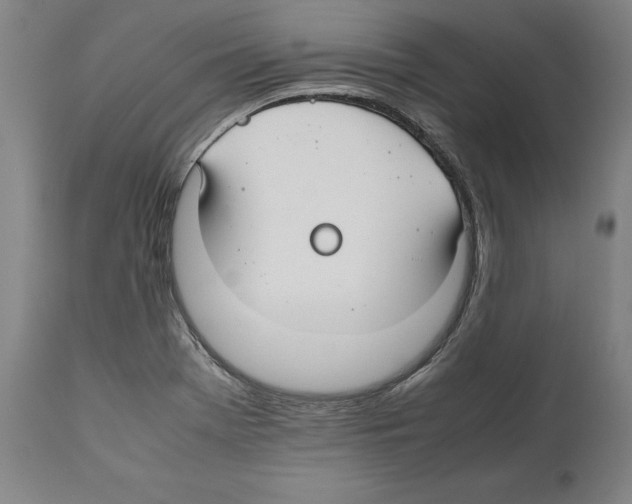 X0000112371369200909241139