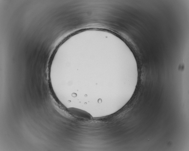 X0000112371372200909241139