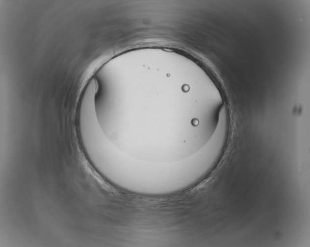 X0000112371373200909241139