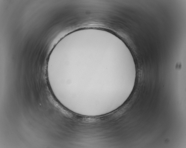X0000112371374200909241139