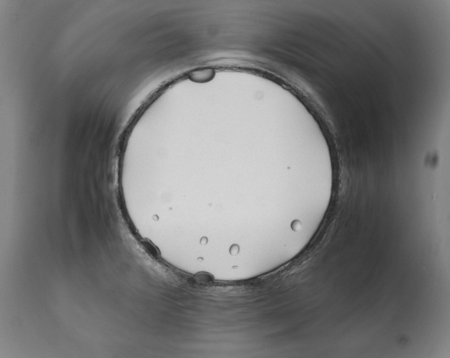 X0000112371376200909241139