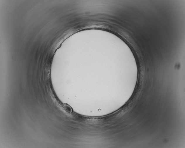 X0000112371377200909241139