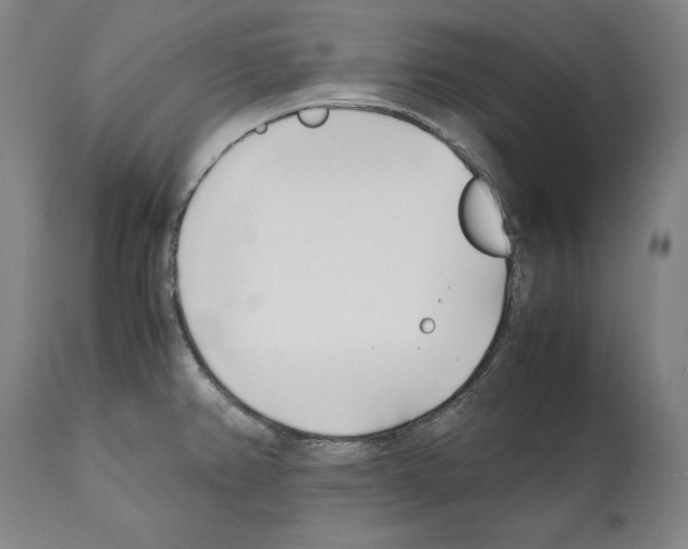 X0000112371382200909241139