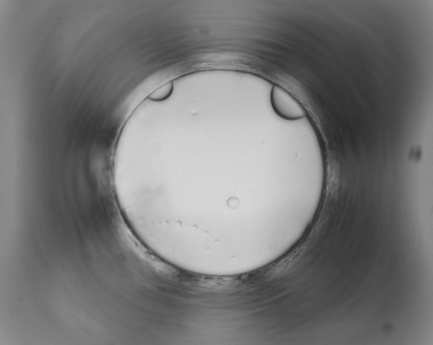 X0000112371386200909241139