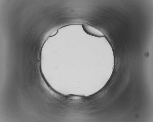 X0000112371387200909241139