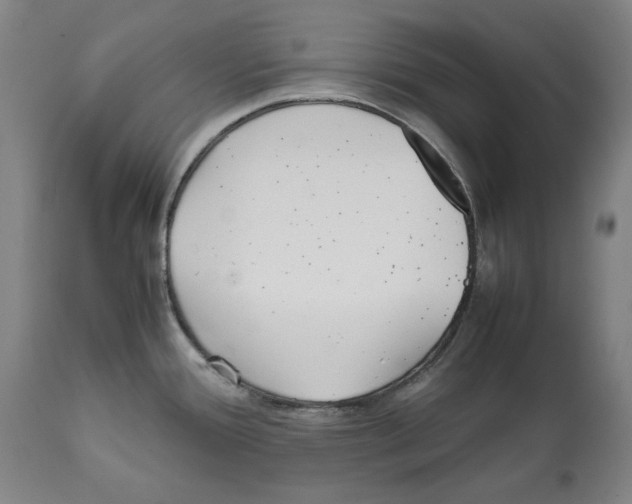 X0000112371388200909241139