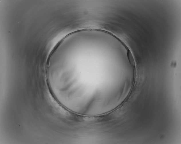 X0000112371389200909241139