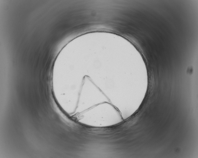 X0000112371391200909241139