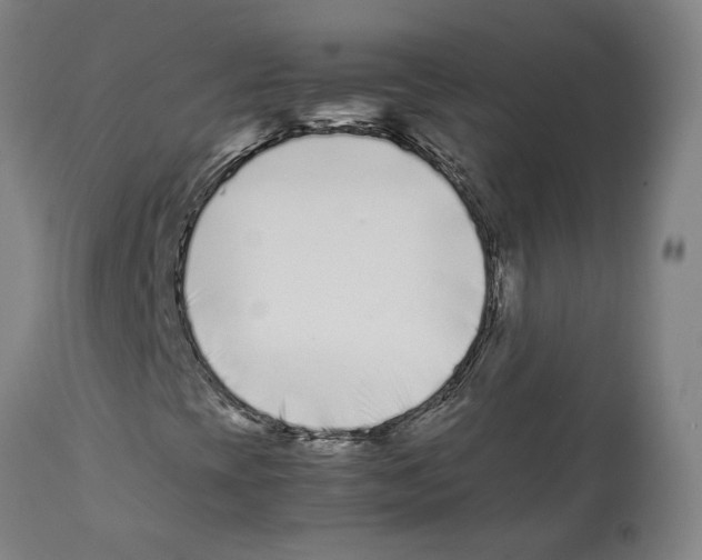X0000112371393200909241138