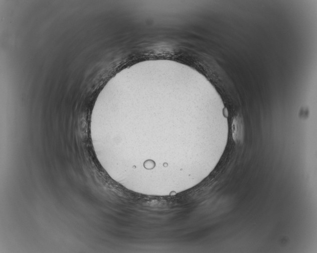 X0000112371395200909241138