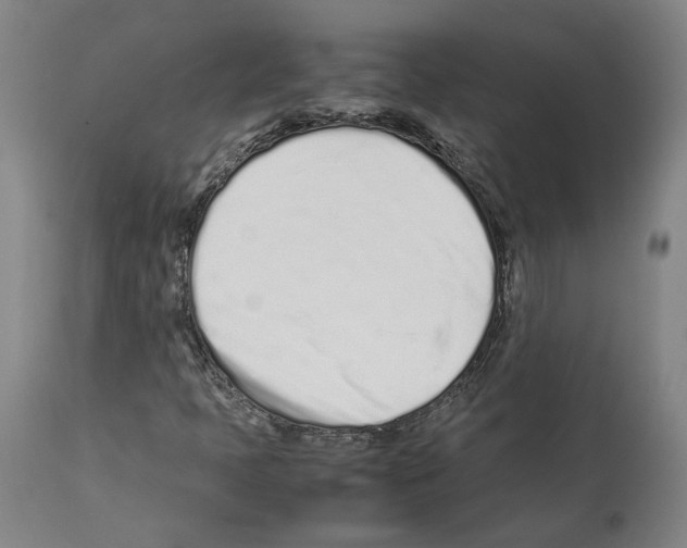 X0000112371397200909241138