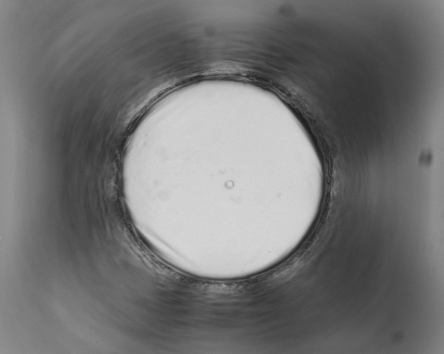 X0000112371401200909241138