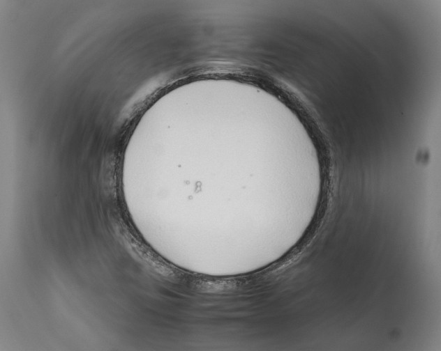 X0000112371403200909241138