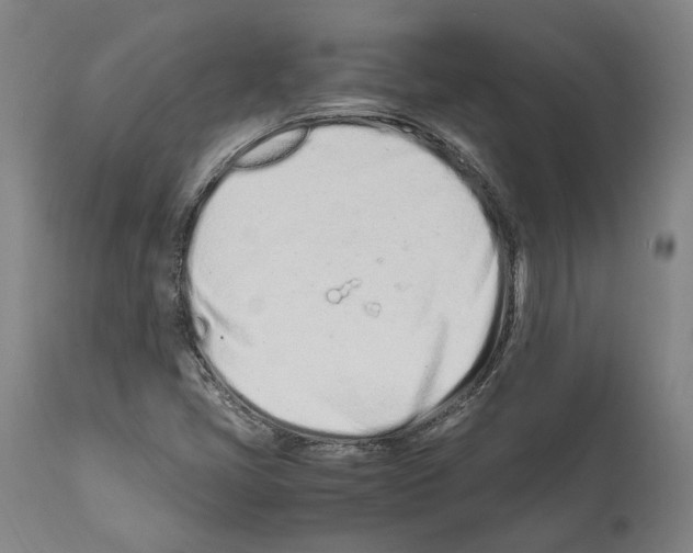 X0000112371405200909241138