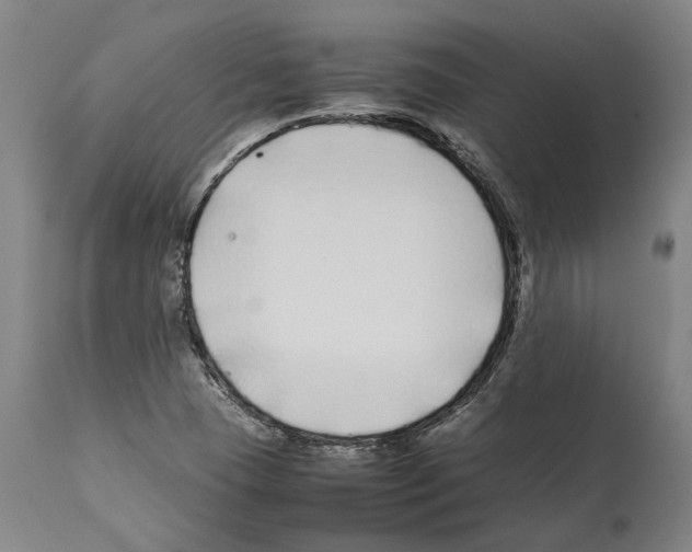 X0000112371409200909241139