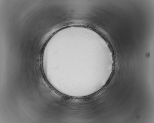 X0000112371411200909241139