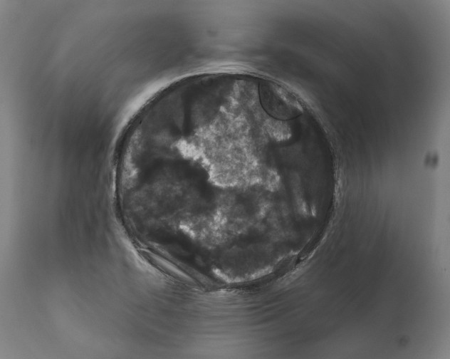 X0000112371414200909241139