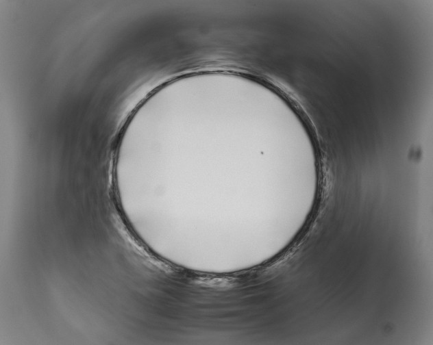 X0000112371415200909241139