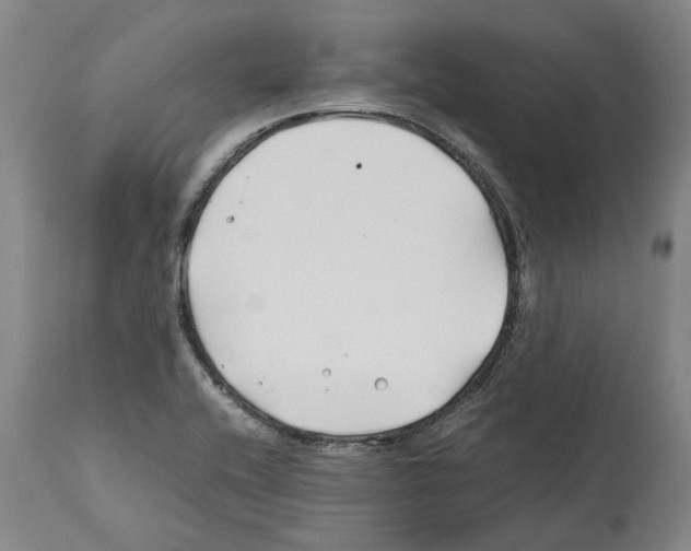 X0000112371416200909241139