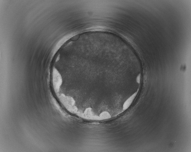 X0000112371418200909241139