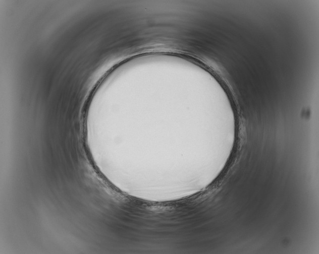 X0000112371419200909241139