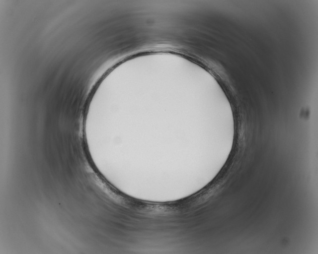 X0000112371420200909241139