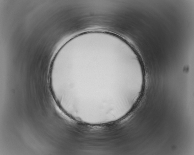 X0000112371421200909241139