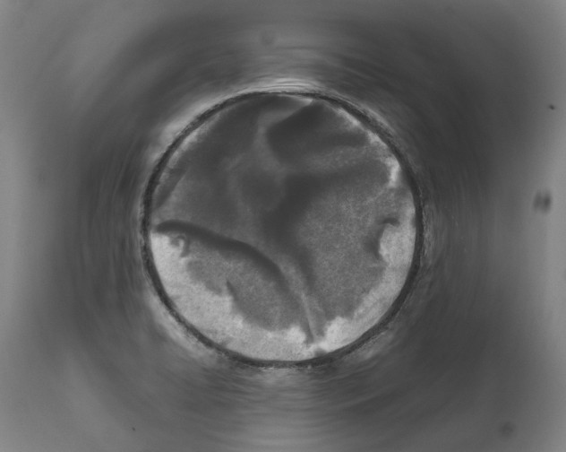 X0000112371422200909241139