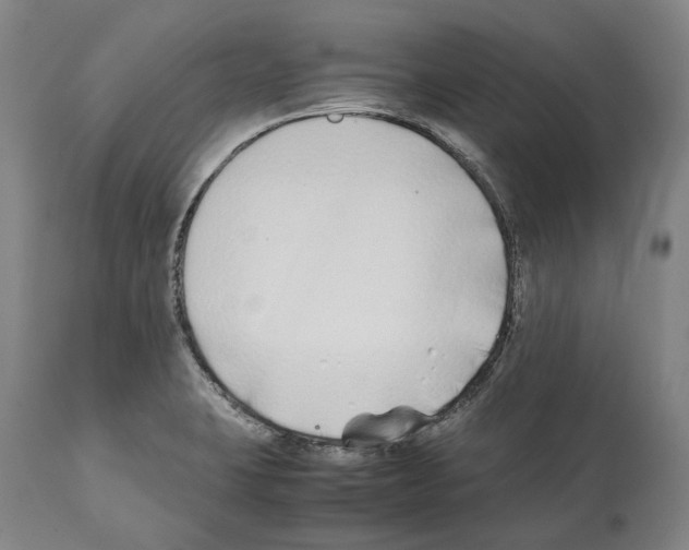 X0000112371423200909241139
