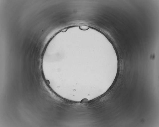 X0000112371424200909241139